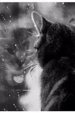 ปกนิยาย เรื่องเศร้าๆของเด็นน้อยกับคุณยาย