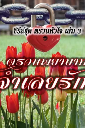 ปกนิยาย