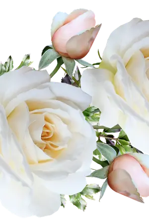 ปกนิยาย บังคับรักคู่หมั้นวายร้าย