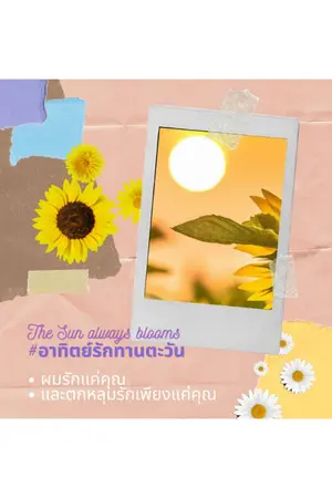 ปกนิยาย