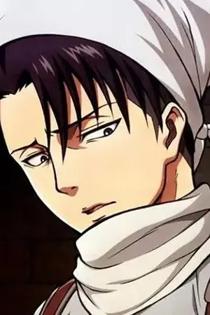 ปกนิยาย Fic : [shingeki no kyojin] รีไวล์ของฉัน levi x reader