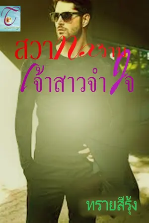 ปกนิยาย