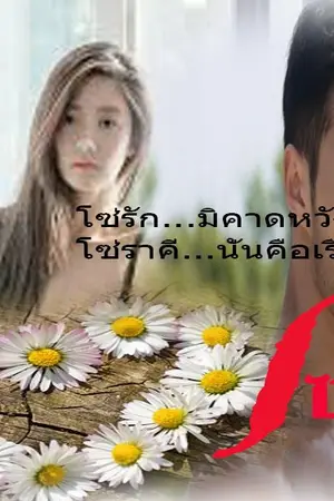 ปกนิยาย