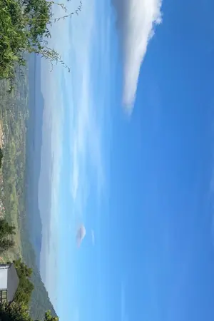 ปกนิยาย Thank you ระบบ ความสุขกำลังเรียก "เรา"