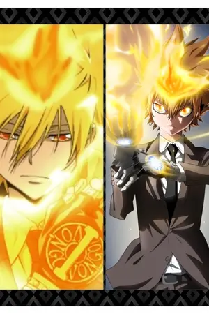 ปกนิยาย (G27)(Fic reborn)นภายามราตรีกับนภายามรุ่งสาง