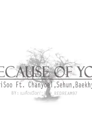 ปกนิยาย [FIC EXO] Because of you [KaiSoo Ft. Chanyoel,Sehun,Baekhyun]