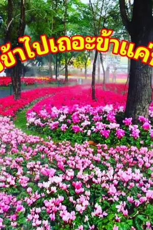 ปกนิยาย ปล่อยข้าไปเถอะข้าแค่หลงมา(E-Book)