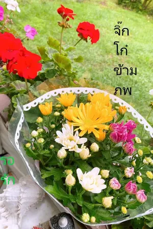 ปกนิยาย