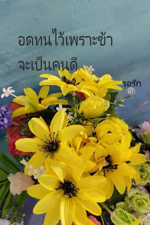 ปกนิยาย อดทนไว้เพราะข้าจะเป็นคนดี