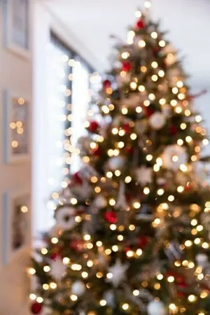 ปกนิยาย SF Chansoo (CHRISTMAS PROJECT)