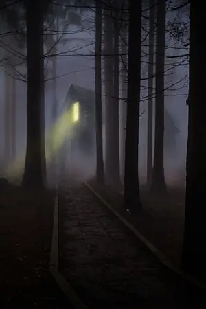 ปกนิยาย สาปป่า2