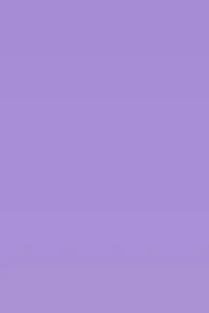 ปกนิยาย (violet or purple)