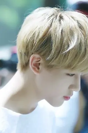 ปกนิยาย [Fic GOT7] SF/OS ALLBAM + OTHER PAIRS