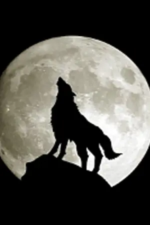 ปกนิยาย [EXO]ll ANIMEGUS STORY ll KaiHun,KrisYeol