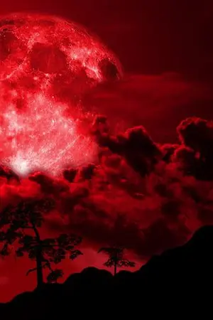 ปกนิยาย Reddy The High School