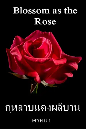 ปกนิยาย นิยายโลกสวย "กุหลาบแดงผลิบาน" ในโลกที่แปลกแยก ปวดร้าว แต่จบด้วยสุขนิยม