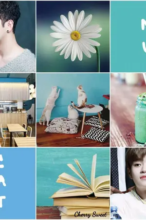 ปกนิยาย [SF] NUCAT #คาเฟ่แมวแบคฮวี #Beakhwi  #แบคฮวี