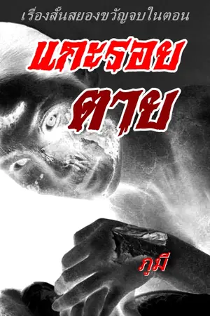 ปกนิยาย อย่าลืมของดีมาฝาก