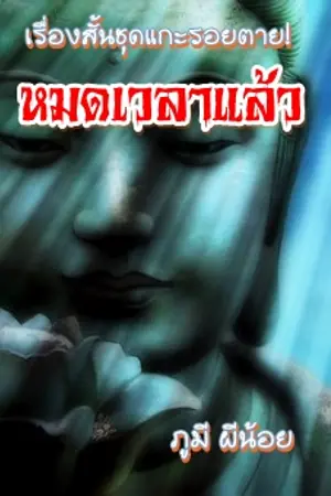 ปกนิยาย