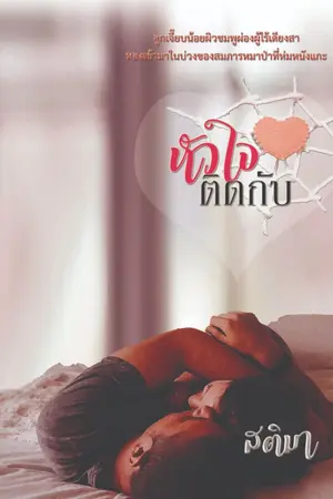 ปกนิยาย