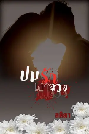 ปกนิยาย ปมรักเงาลวง