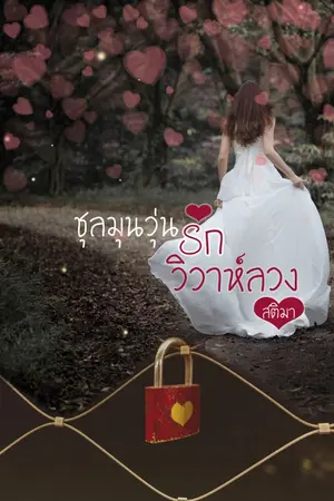 ปกนิยาย ชุลมุนวุ่นรักวิวาห์ลวง (รีอัป)