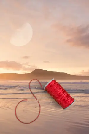 ปกนิยาย เพียงจันทร์ต้องใจ