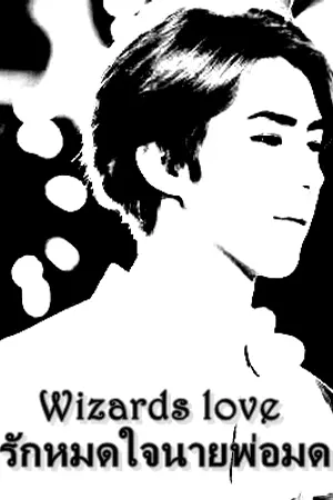 ปกนิยาย Wizards love รักหมดใจนายพ่อมด