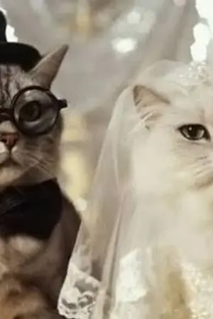 ปกนิยาย sacrificeสละรัก