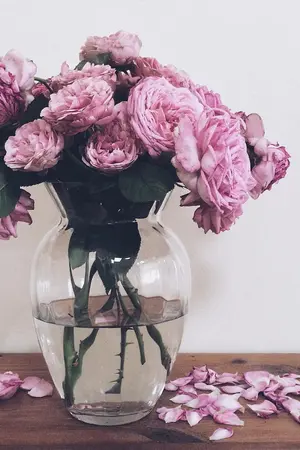 ปกนิยาย All my fiction