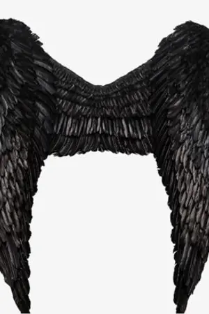 ปกนิยาย Black Curse คำสาปสีนิล Chan-Baek