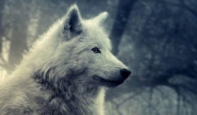 คู่เดรโกย้อยจะเป็นใครกัน