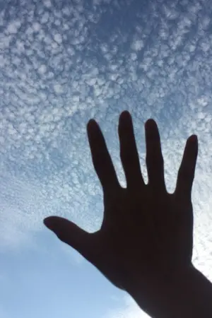 ปกนิยาย ข้าจะเป็นชาวสวน