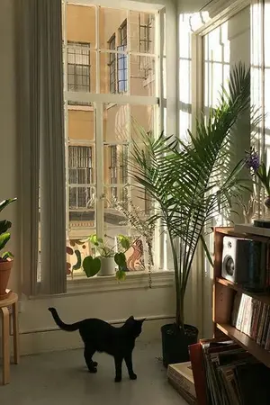 ปกนิยาย (exo) neighbor l krislay