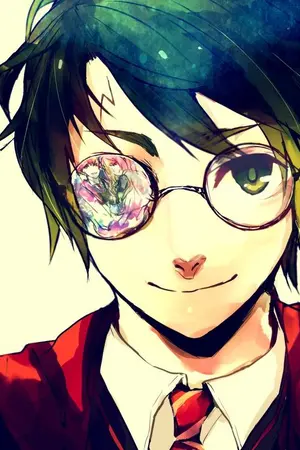 ปกนิยาย Fic Harry Potter ย้อนเวลามาพบรัก Yaoi [TMR/HP,DM/OC]