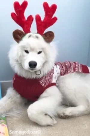 ปกนิยาย [os,sf] Sent my love [PD101]