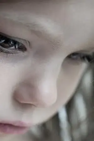 ปกนิยาย เป็ดขี้เหร่