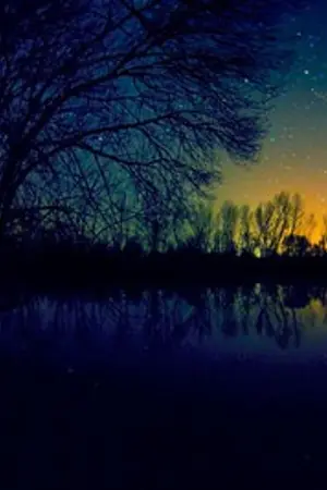 ปกนิยาย Stars with moon