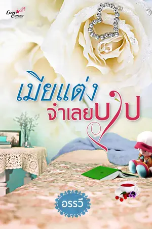 ปกนิยาย