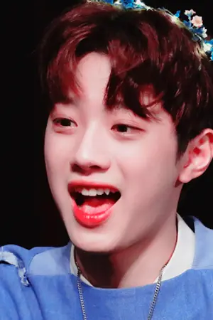 ปกนิยาย - shedeer's room