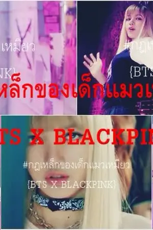 ปกนิยาย #กฎเหล็กของเด็กแมวเหมียว {BTS X BLACKPINK} (พักอัพยาวๆ TT)