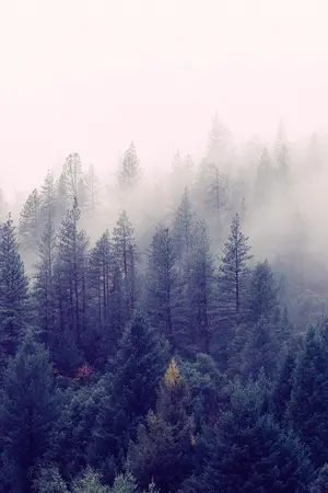 ปกนิยาย URBAN LEGENDS