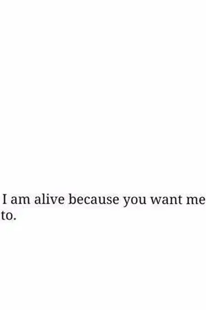 ปกนิยาย [SEVENTEEN #minsoon] :: แสงเหนือ