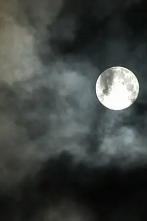 ปกนิยาย ชุณหปักษ์ {ข้ามยุค}