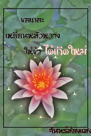 ปกนิยาย ขอเถอะเหยียนหลัวหวางให้ข้าได้เกิดใหม่