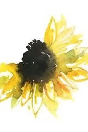 ปกนิยาย ＳＵＭＭＥＲ☀︎