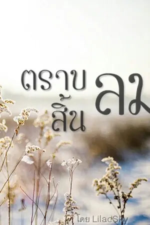 ปกนิยาย