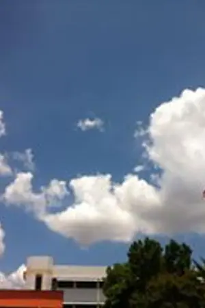 ปกนิยาย ได้แต่แอบมอง