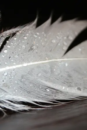 ปกนิยาย (Spin-off) Lv.9,999 : Awaken [END]