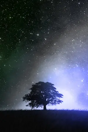 ปกนิยาย 9 Heavens สยบสิ้น เก้าสวรรค์